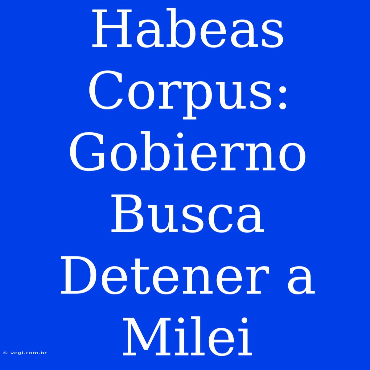 Habeas Corpus: Gobierno Busca Detener A Milei