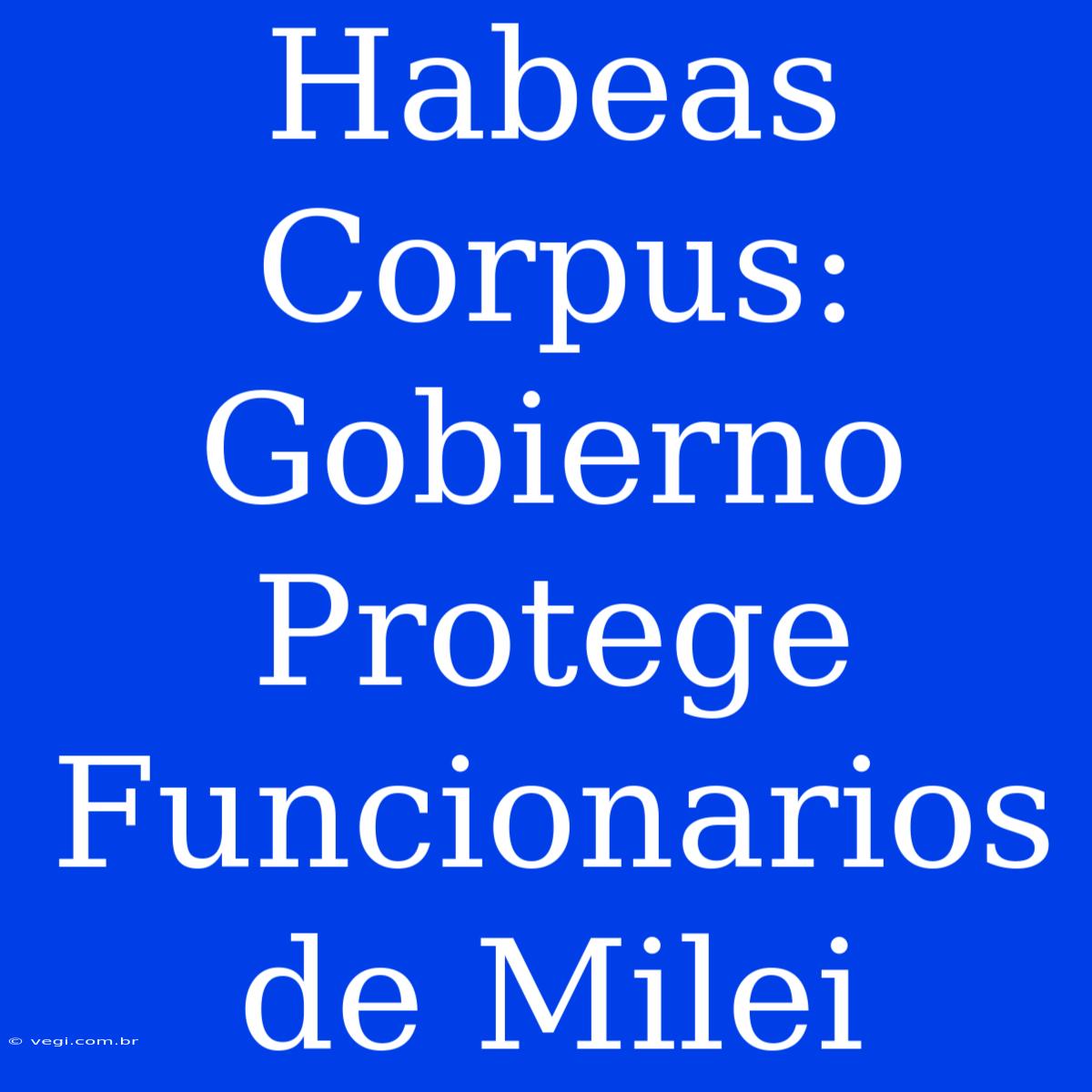 Habeas Corpus: Gobierno Protege Funcionarios De Milei