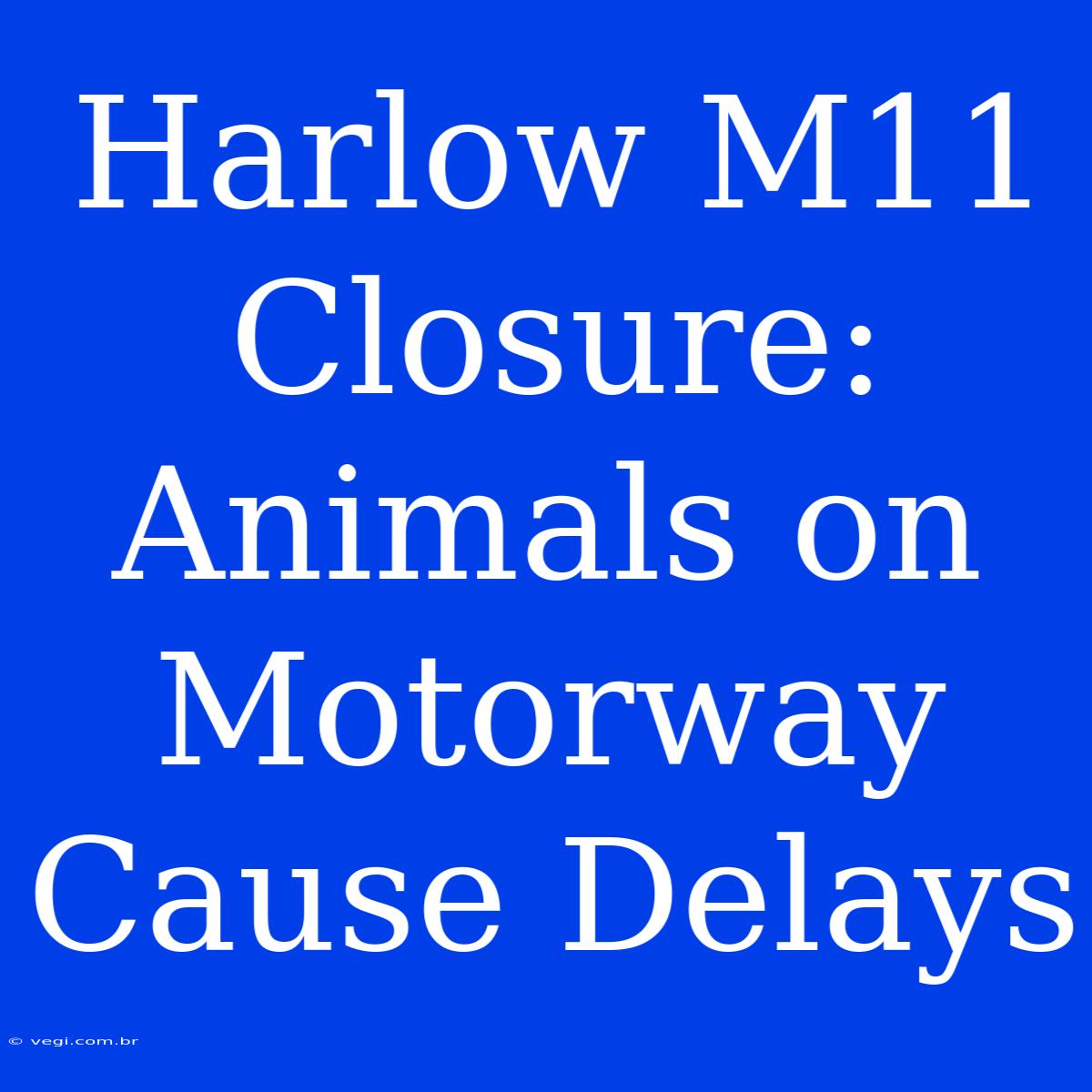 Harlow M11 Closure: Animals On Motorway Cause Delays