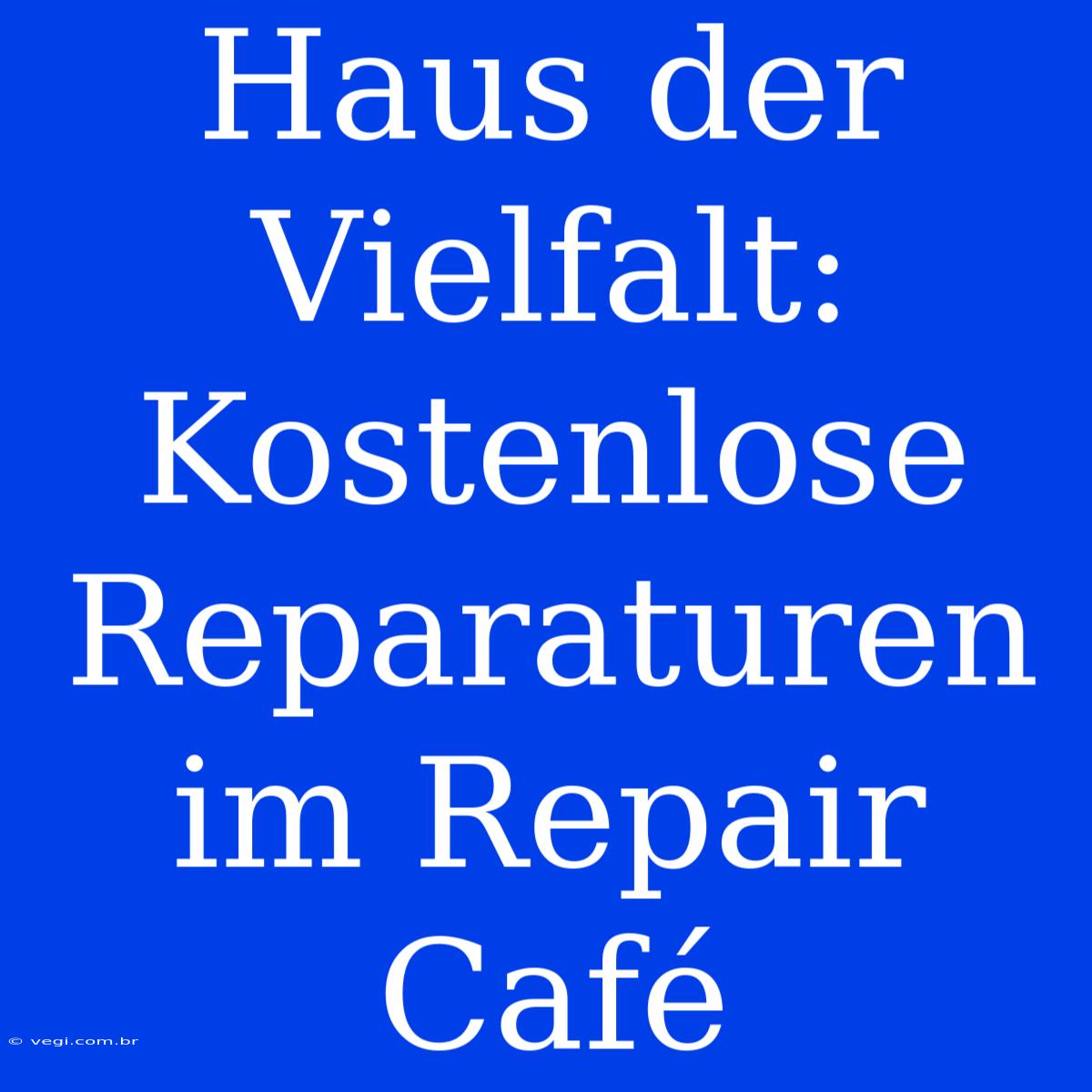 Haus Der Vielfalt: Kostenlose Reparaturen Im Repair Café