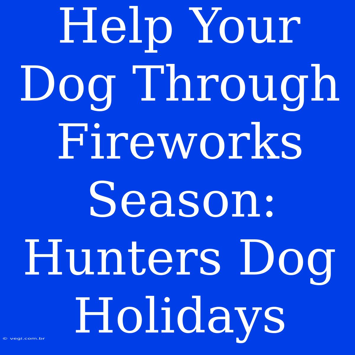 Help Your Dog Through Fireworks Season: Hunters Dog Holidays