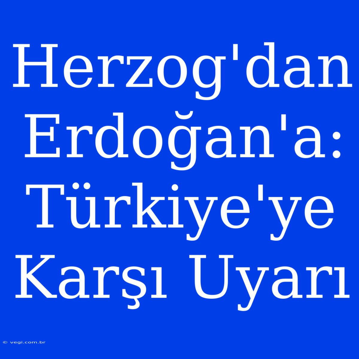 Herzog'dan Erdoğan'a: Türkiye'ye Karşı Uyarı