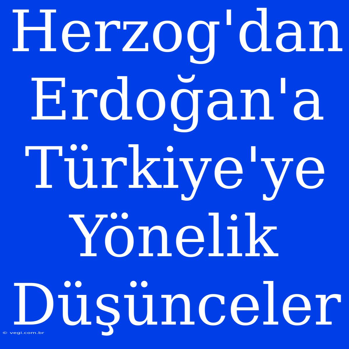 Herzog'dan Erdoğan'a Türkiye'ye Yönelik Düşünceler