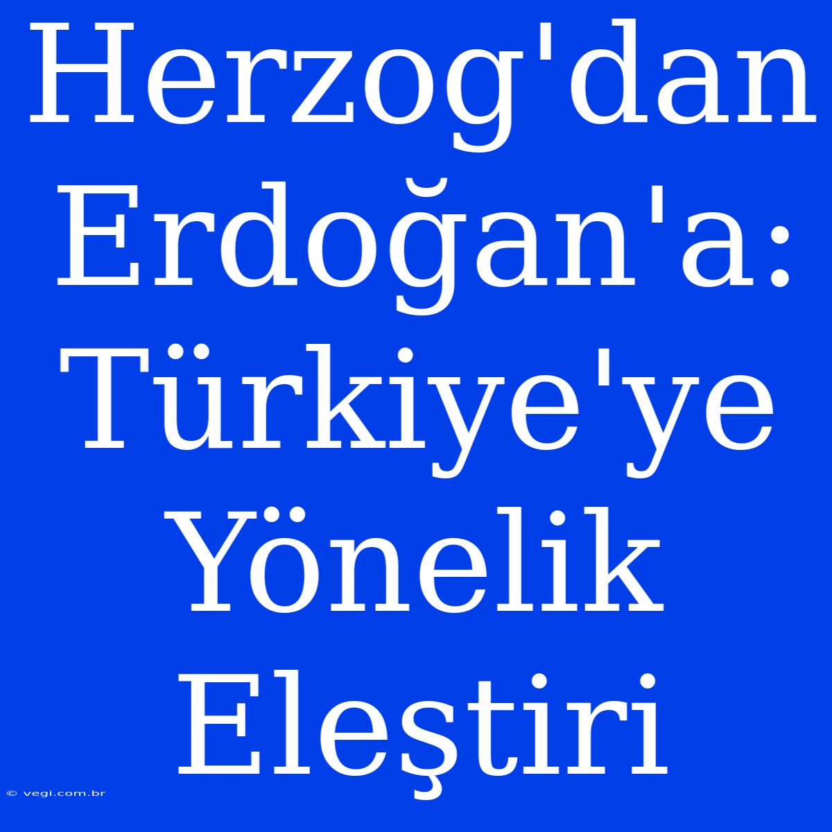 Herzog'dan Erdoğan'a: Türkiye'ye Yönelik Eleştiri