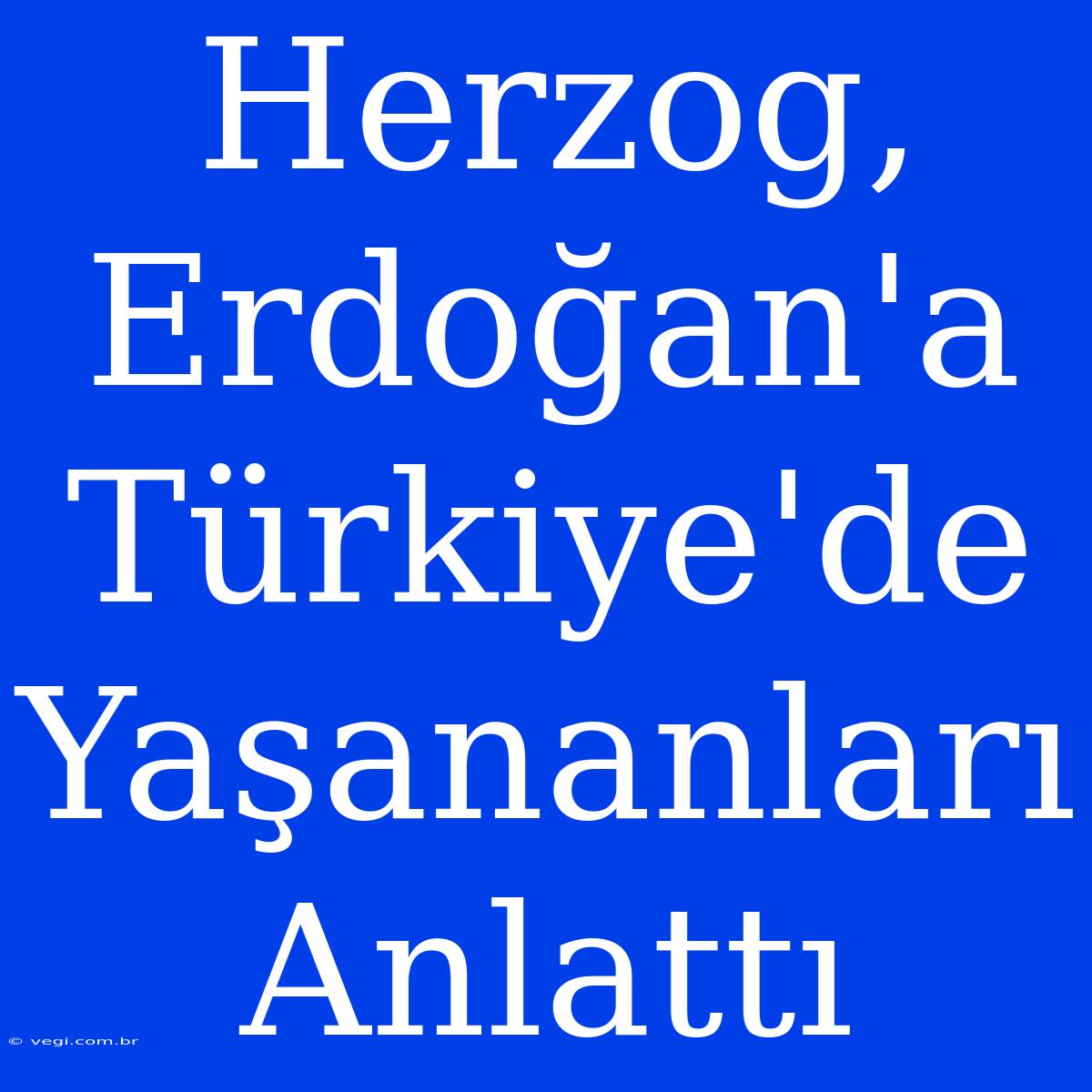 Herzog, Erdoğan'a Türkiye'de Yaşananları Anlattı