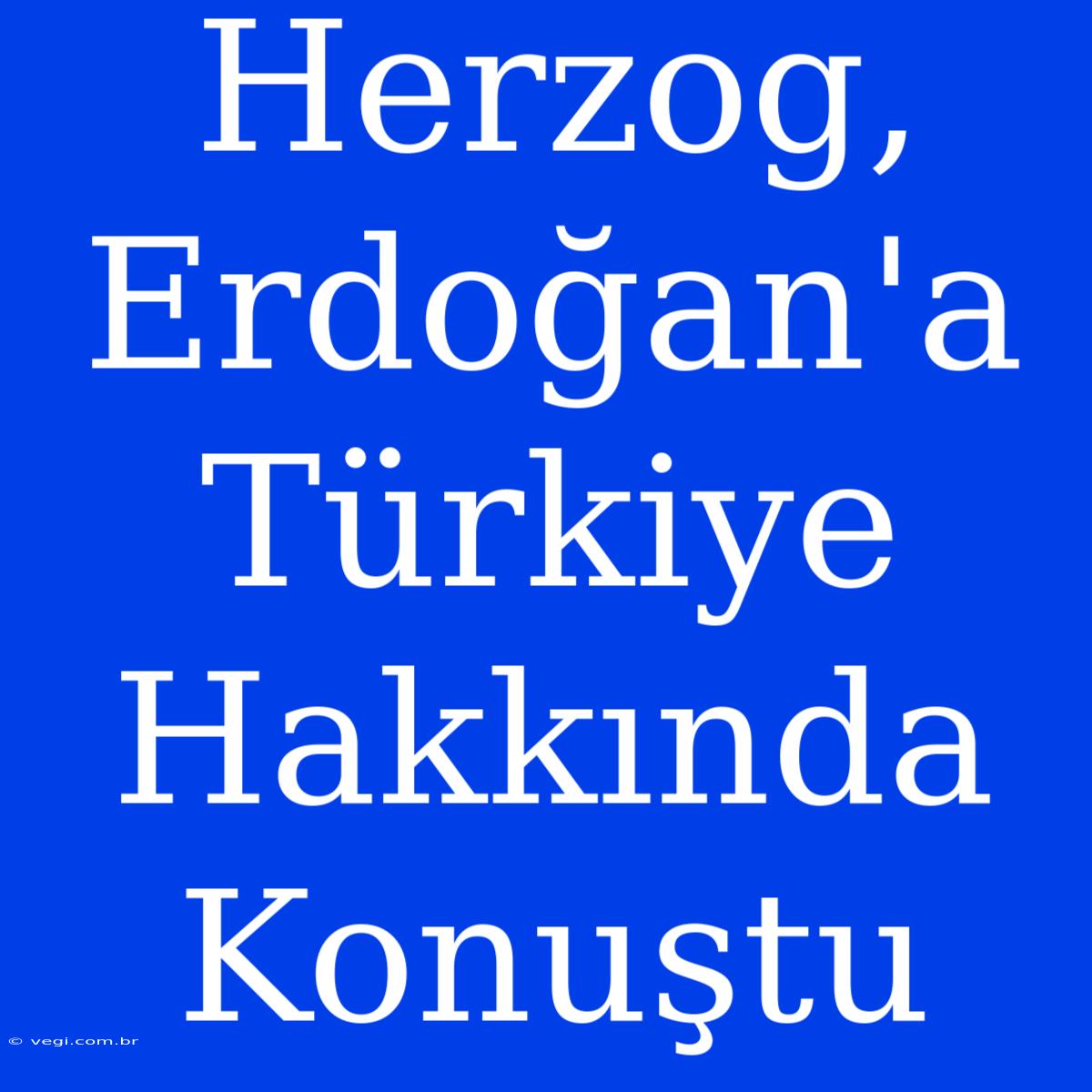 Herzog, Erdoğan'a Türkiye Hakkında Konuştu