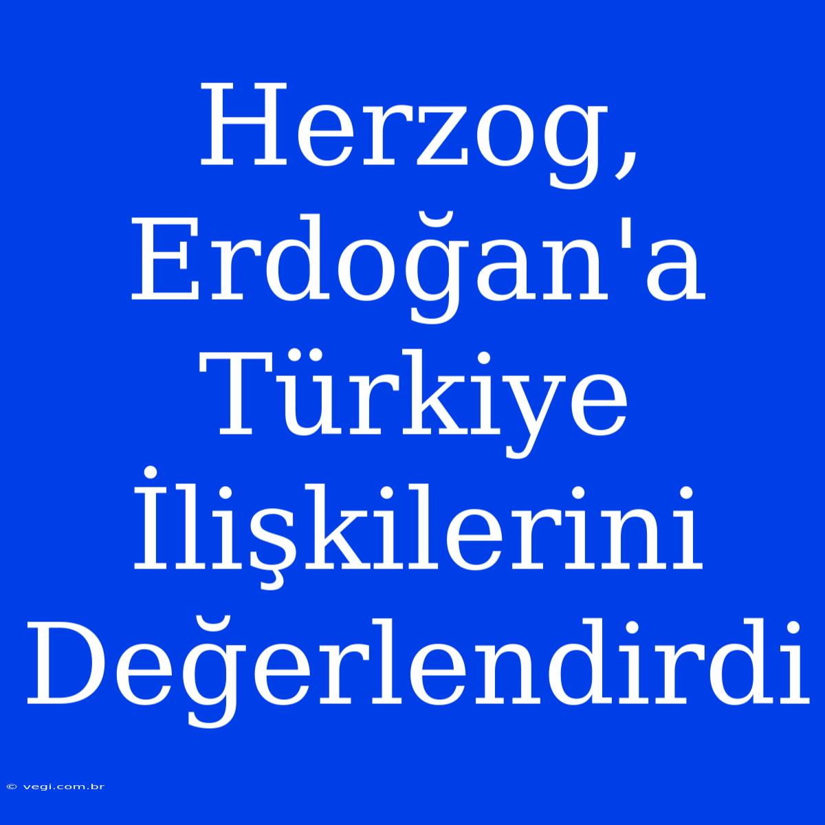 Herzog, Erdoğan'a Türkiye İlişkilerini Değerlendirdi