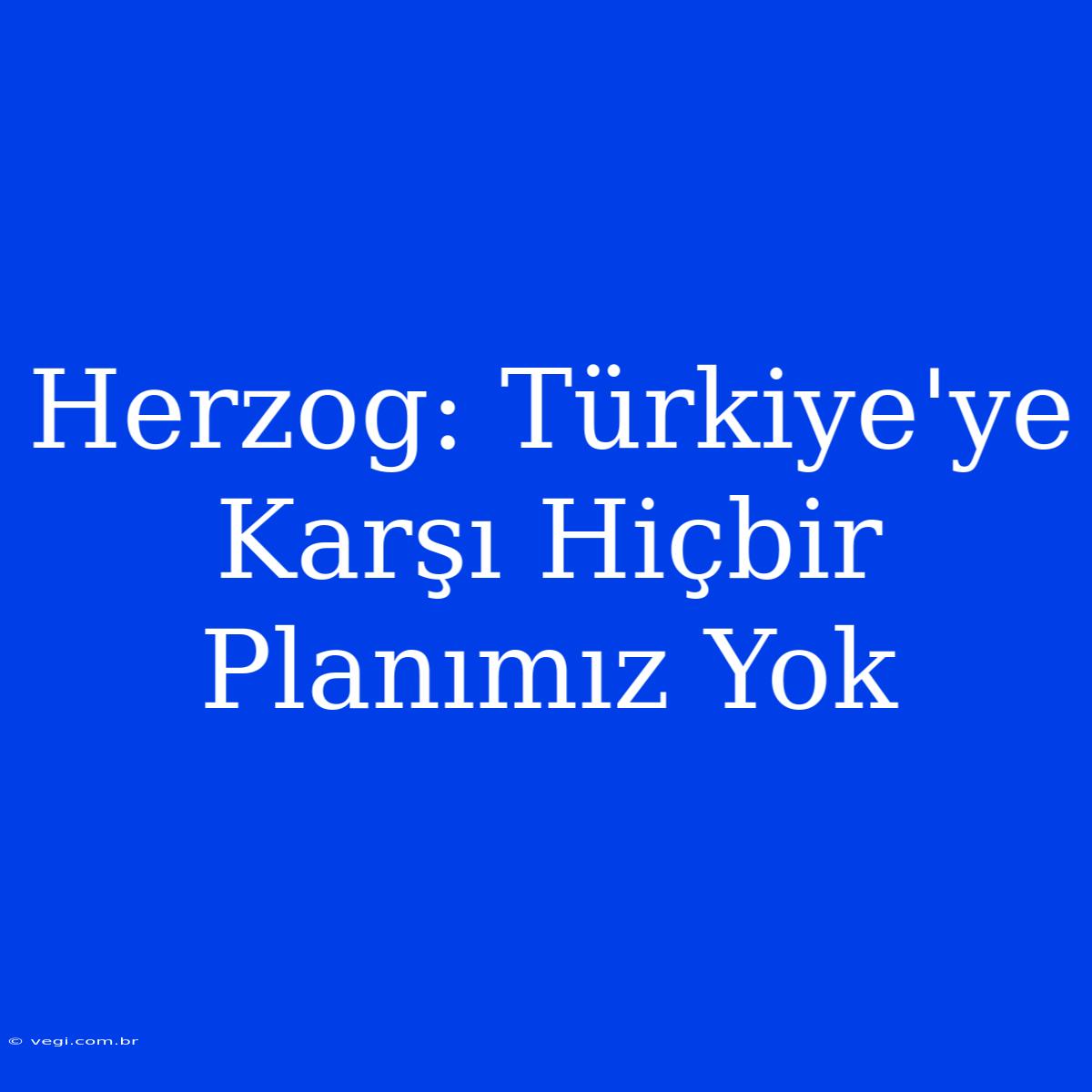 Herzog: Türkiye'ye Karşı Hiçbir Planımız Yok