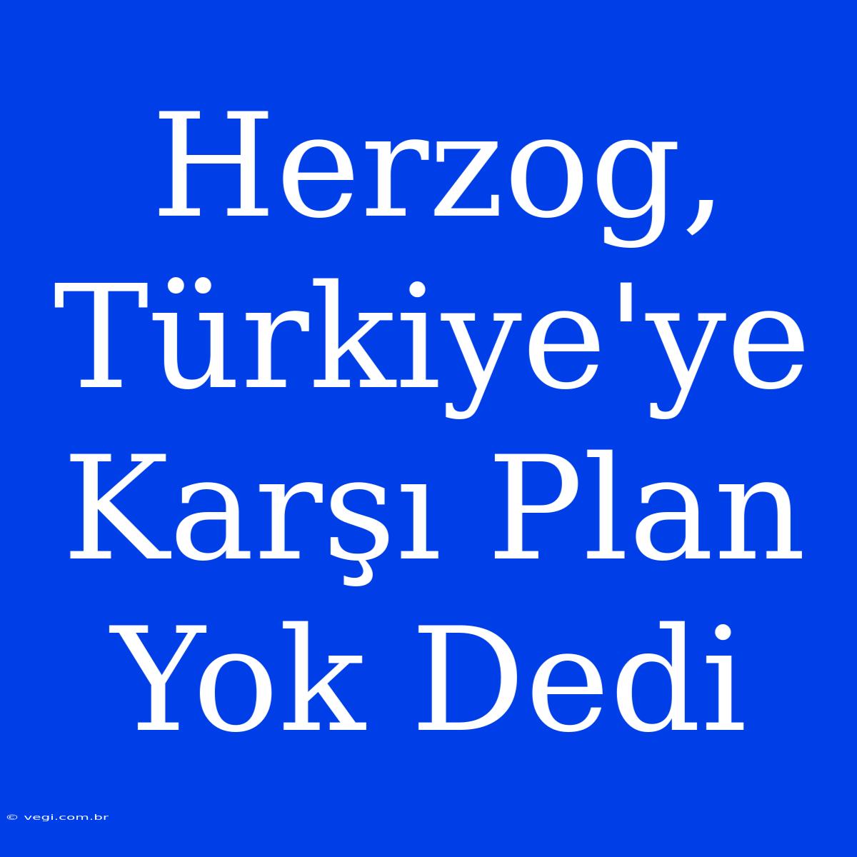 Herzog, Türkiye'ye Karşı Plan Yok Dedi