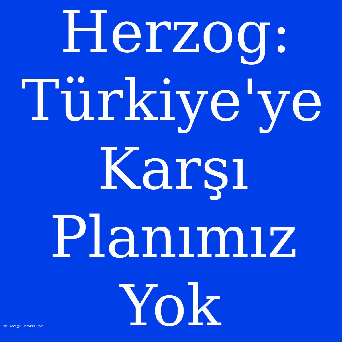 Herzog: Türkiye'ye Karşı Planımız Yok