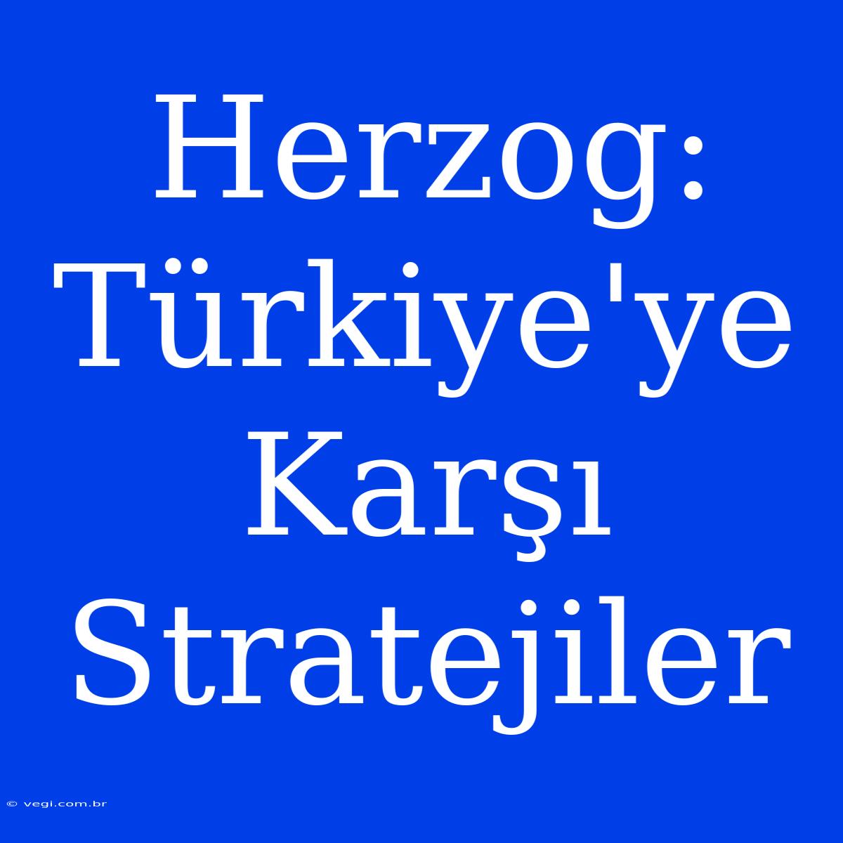 Herzog: Türkiye'ye Karşı Stratejiler