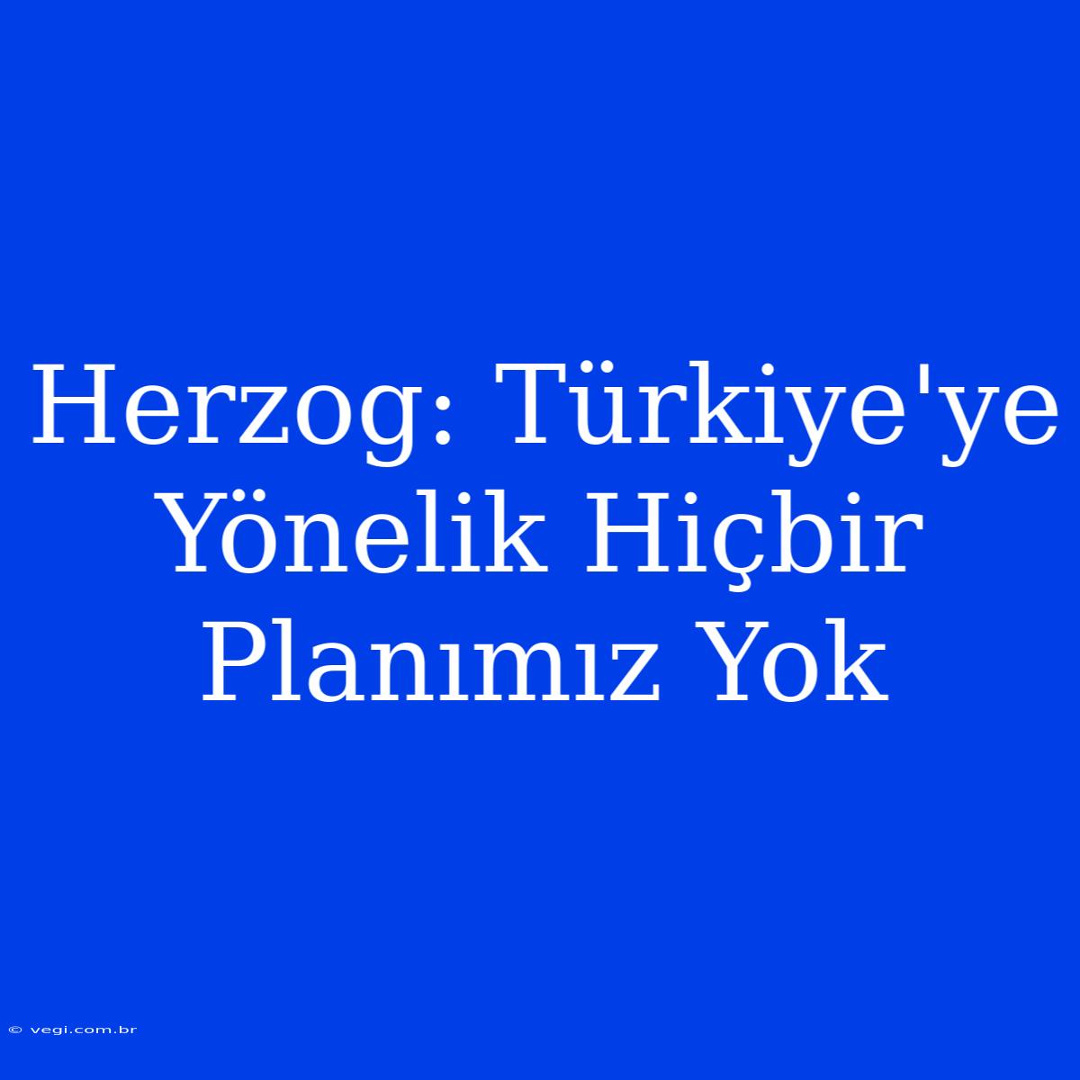 Herzog: Türkiye'ye Yönelik Hiçbir Planımız Yok