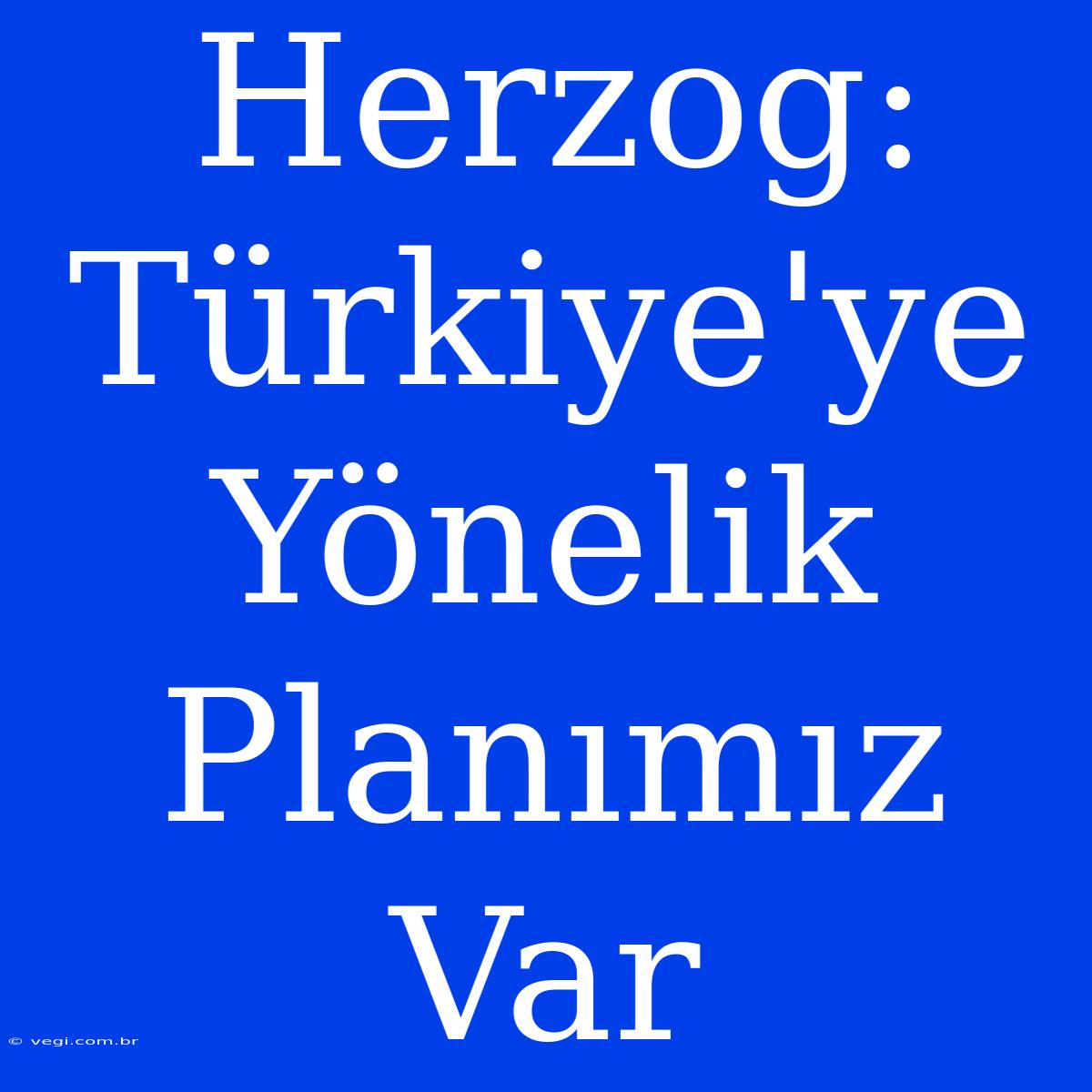 Herzog: Türkiye'ye Yönelik Planımız Var