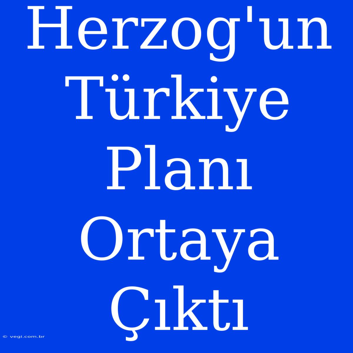 Herzog'un Türkiye Planı Ortaya Çıktı