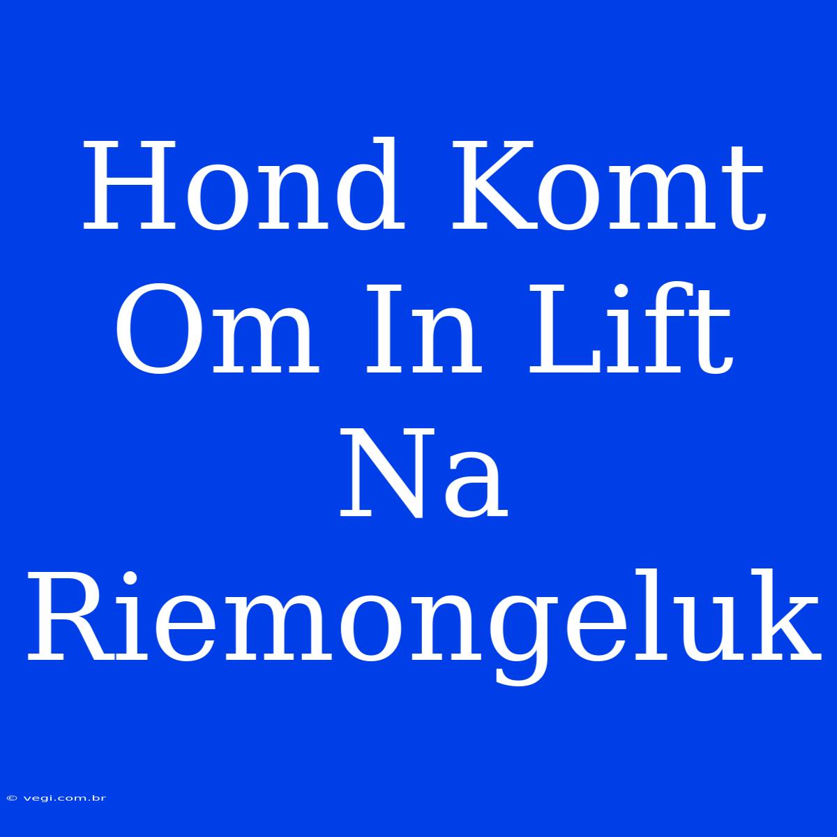 Hond Komt Om In Lift Na Riemongeluk