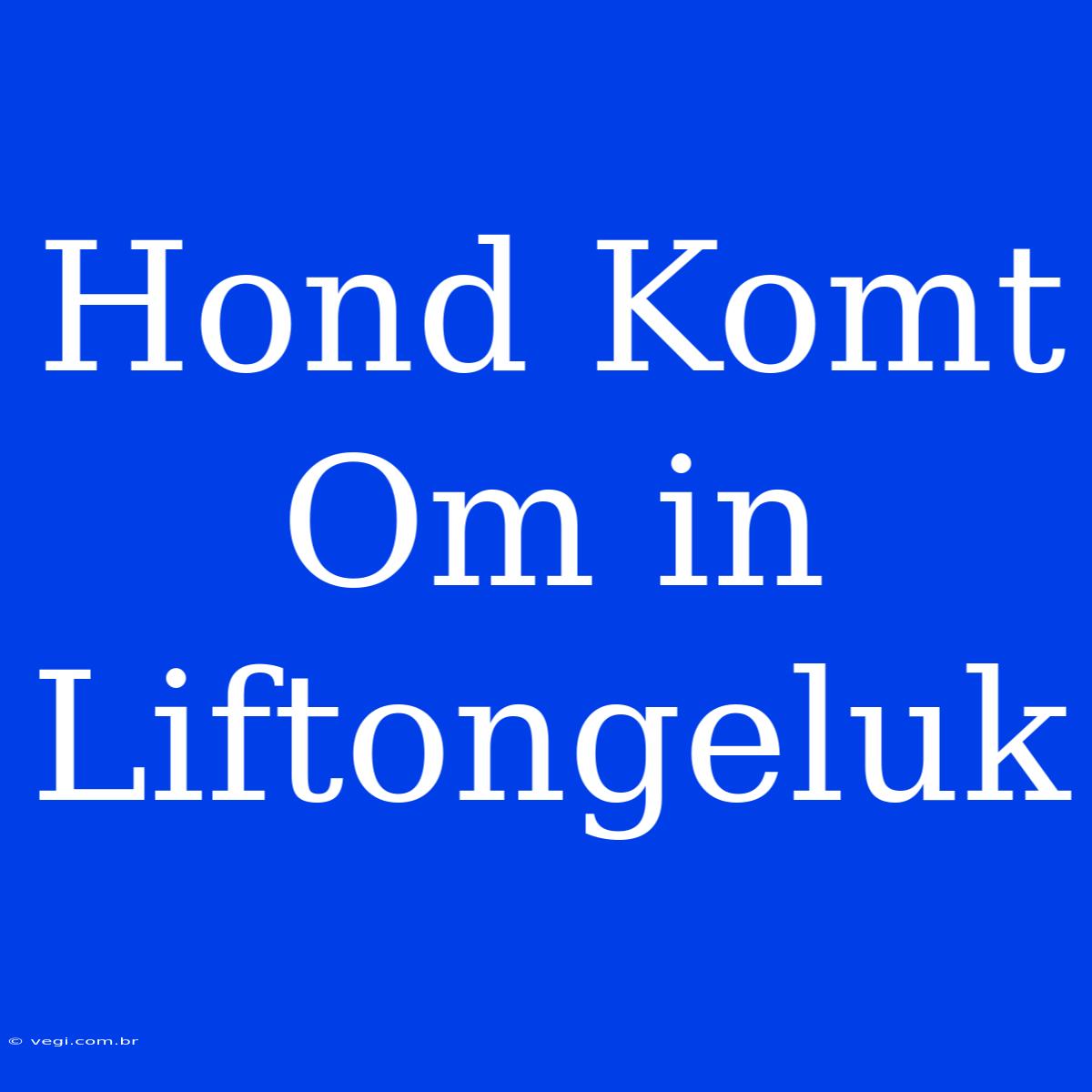 Hond Komt Om In Liftongeluk 