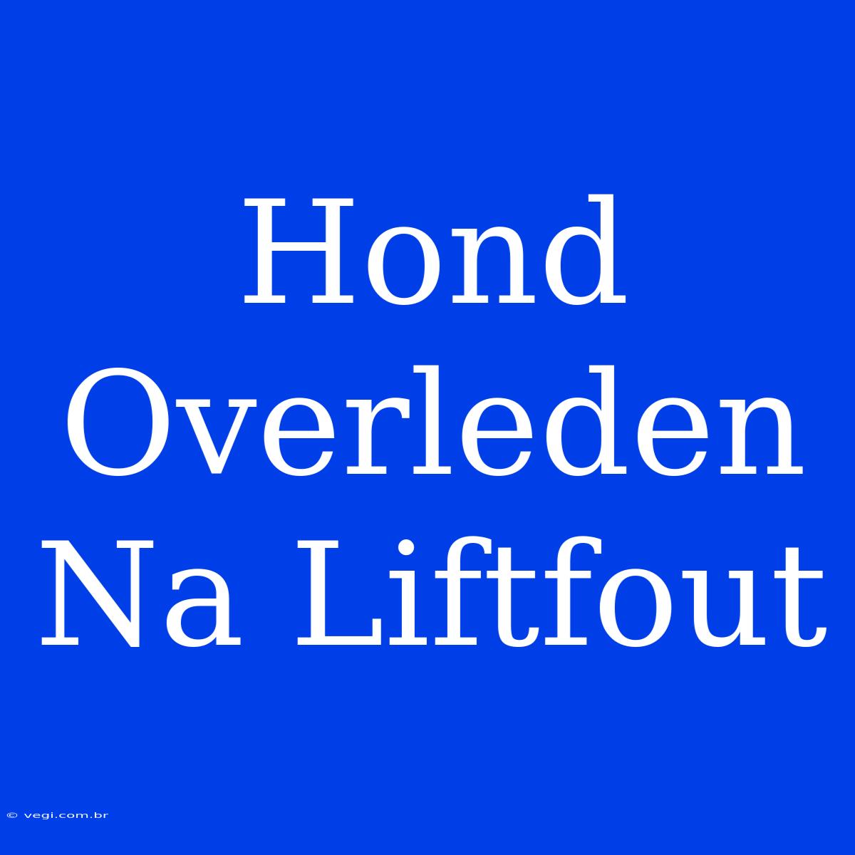 Hond Overleden Na Liftfout