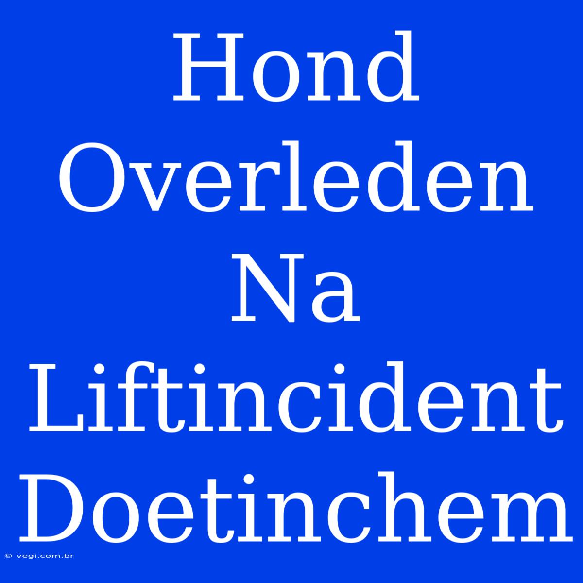 Hond Overleden Na Liftincident Doetinchem