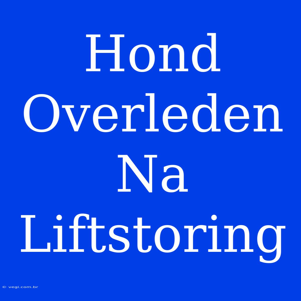 Hond Overleden Na Liftstoring