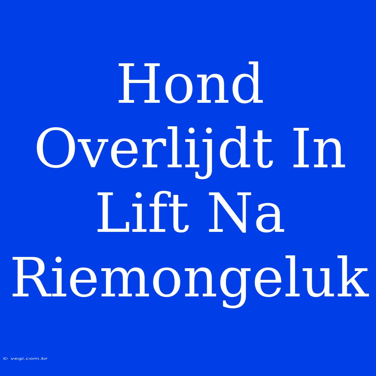 Hond Overlijdt In Lift Na Riemongeluk