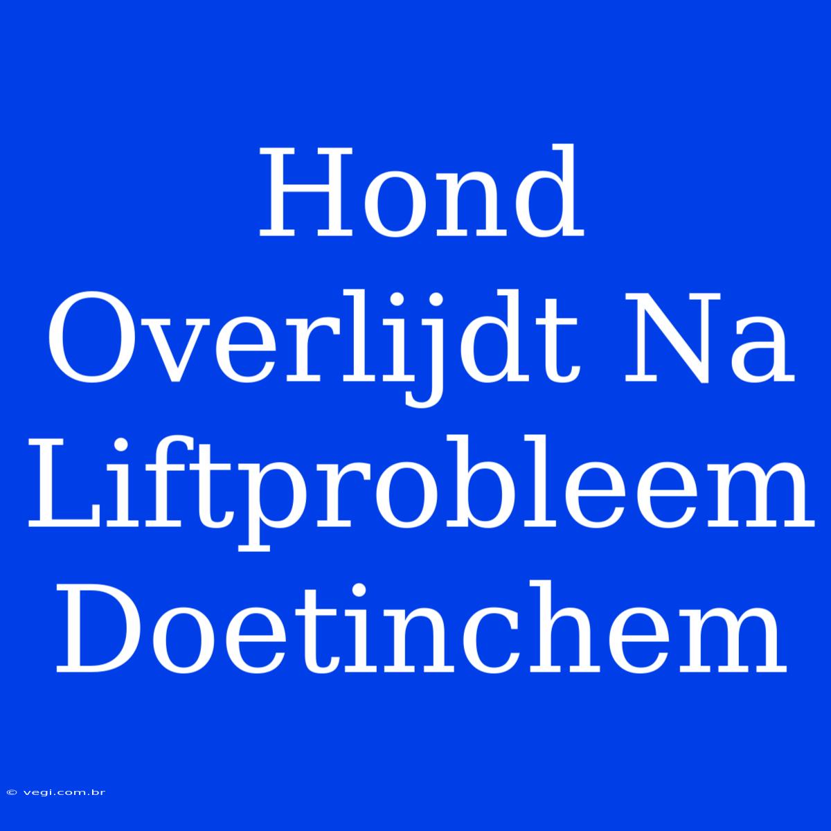 Hond Overlijdt Na Liftprobleem Doetinchem