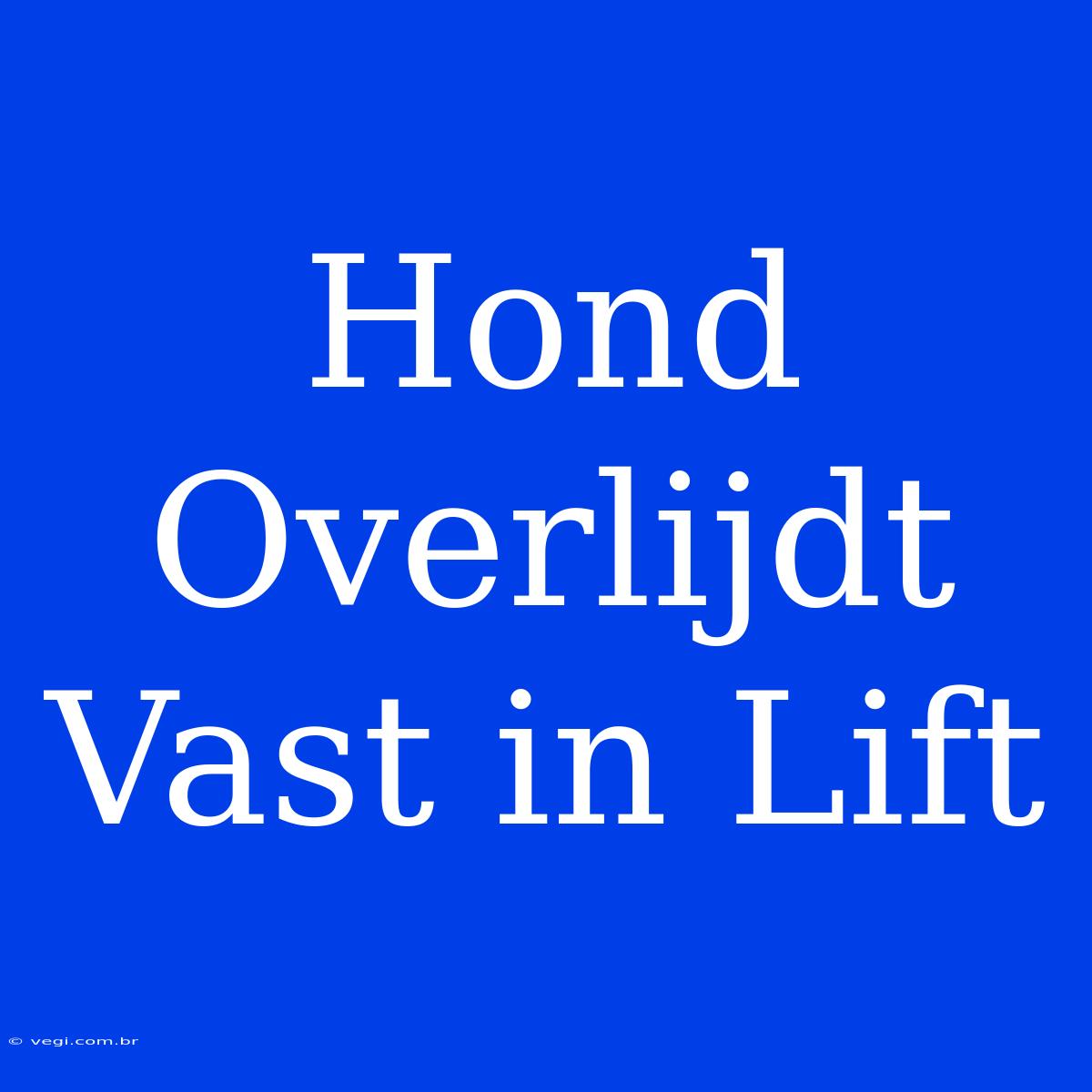 Hond Overlijdt Vast In Lift