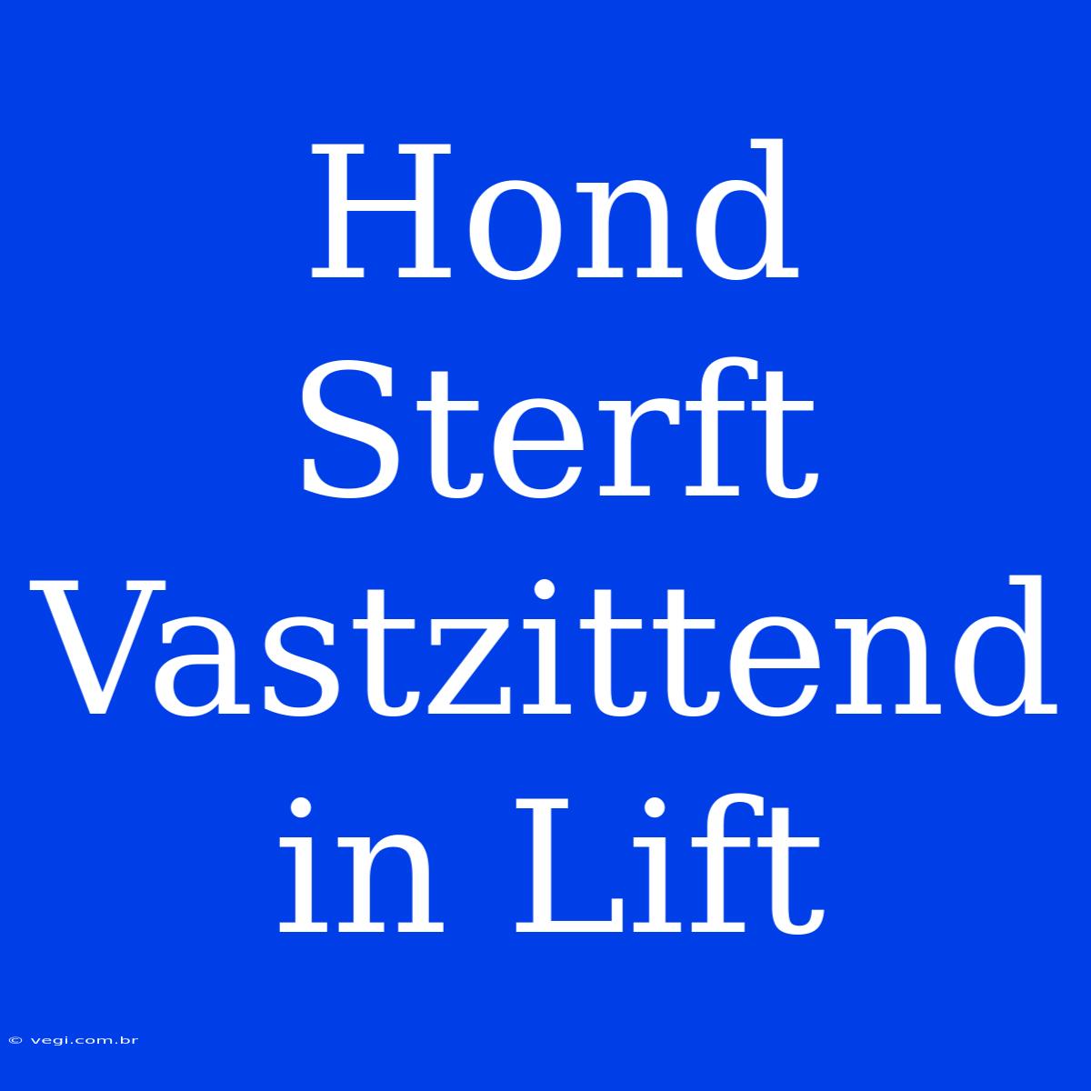 Hond Sterft Vastzittend In Lift