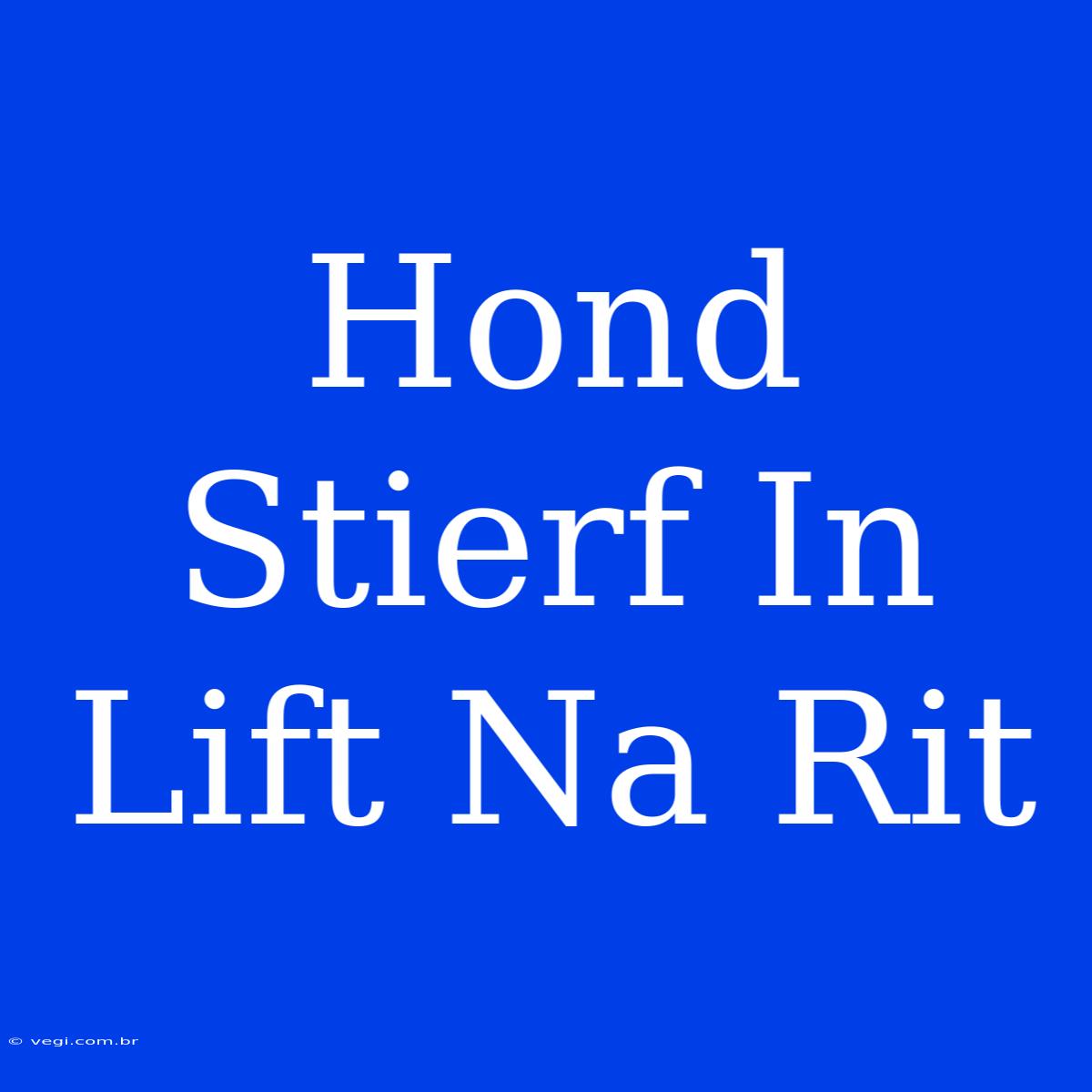 Hond Stierf In Lift Na Rit 