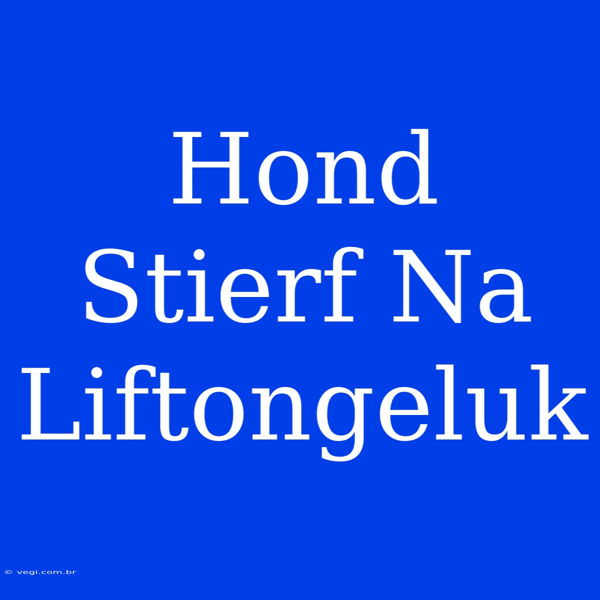 Hond Stierf Na Liftongeluk