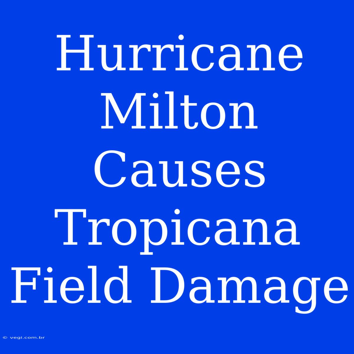 Hurricane Milton Causes Tropicana Field Damage