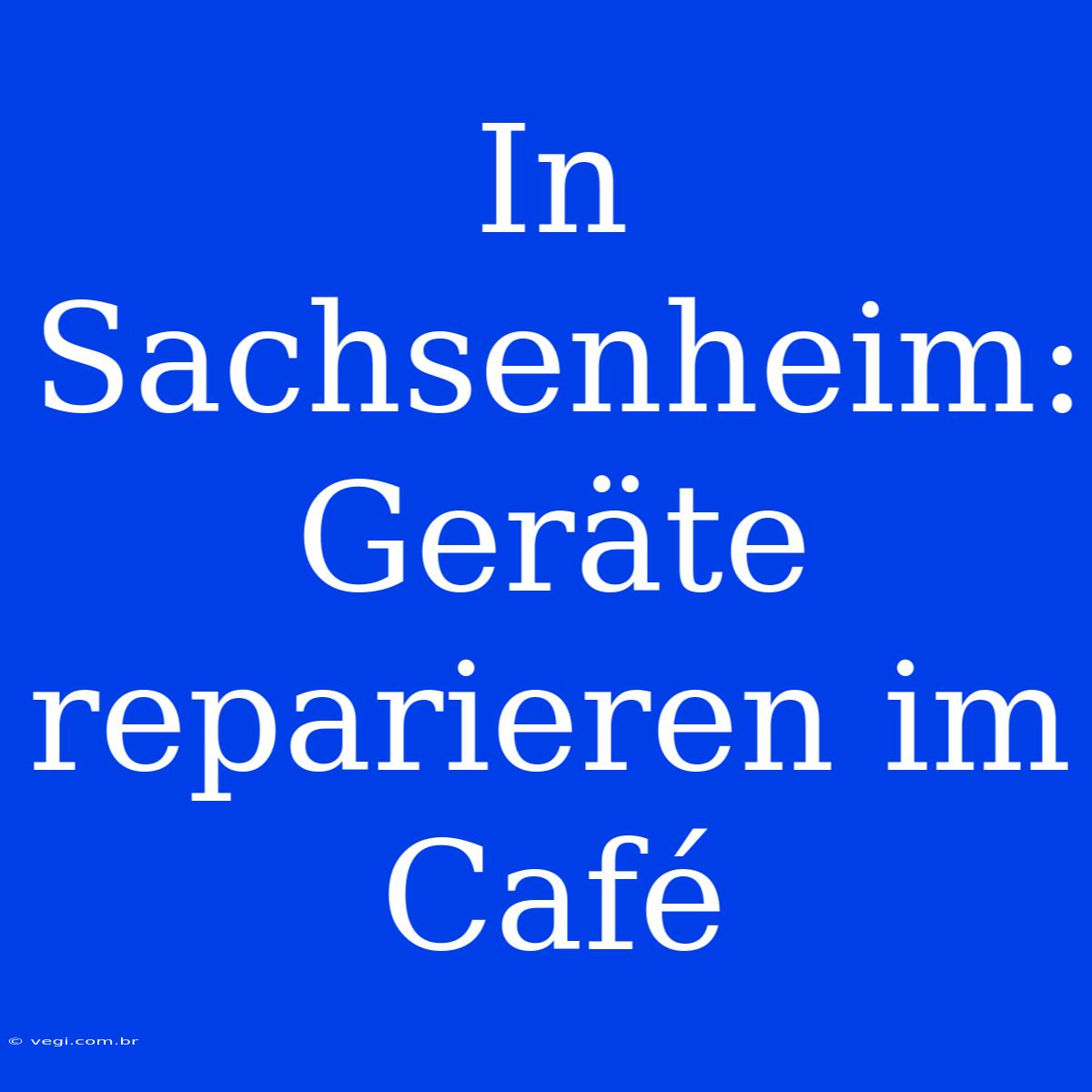 In Sachsenheim: Geräte Reparieren Im Café