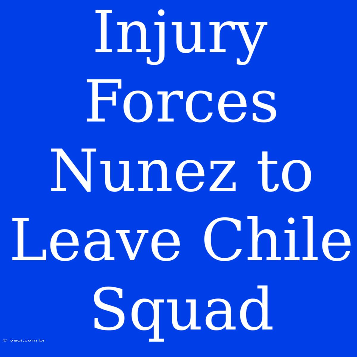 Injury Forces Nunez To Leave Chile Squad