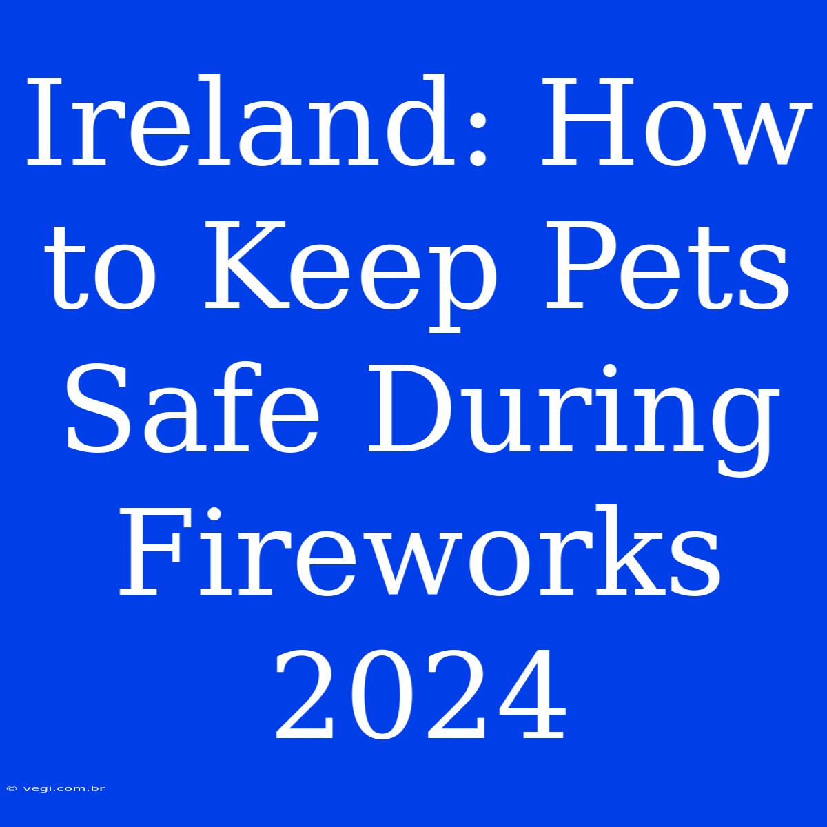 Ireland: How To Keep Pets Safe During Fireworks 2024 