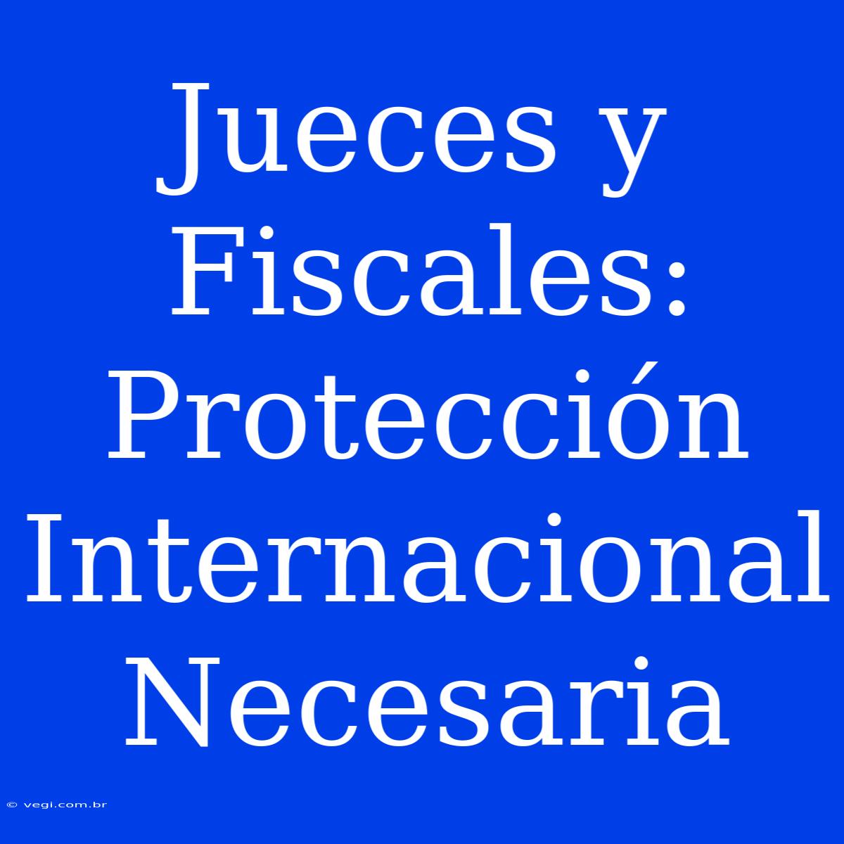 Jueces Y Fiscales: Protección Internacional Necesaria