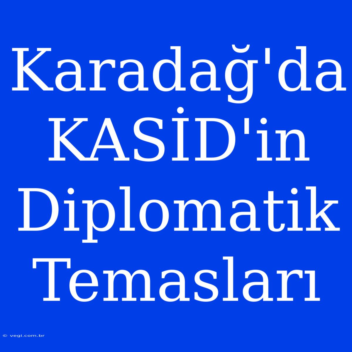 Karadağ'da KASİD'in Diplomatik Temasları