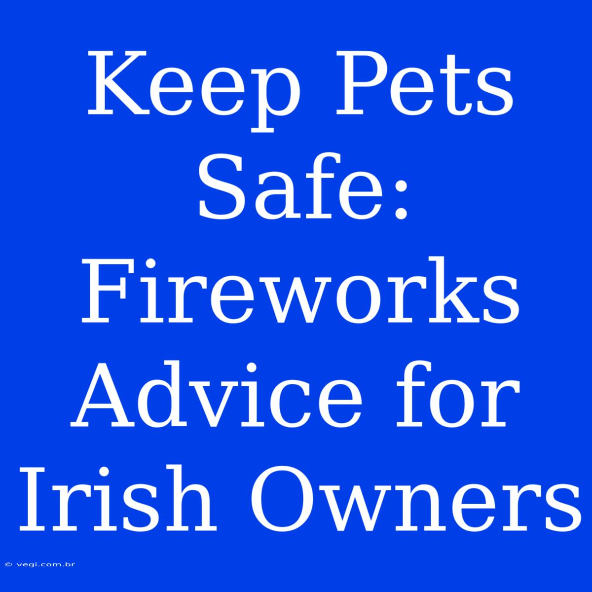 Keep Pets Safe: Fireworks Advice For Irish Owners