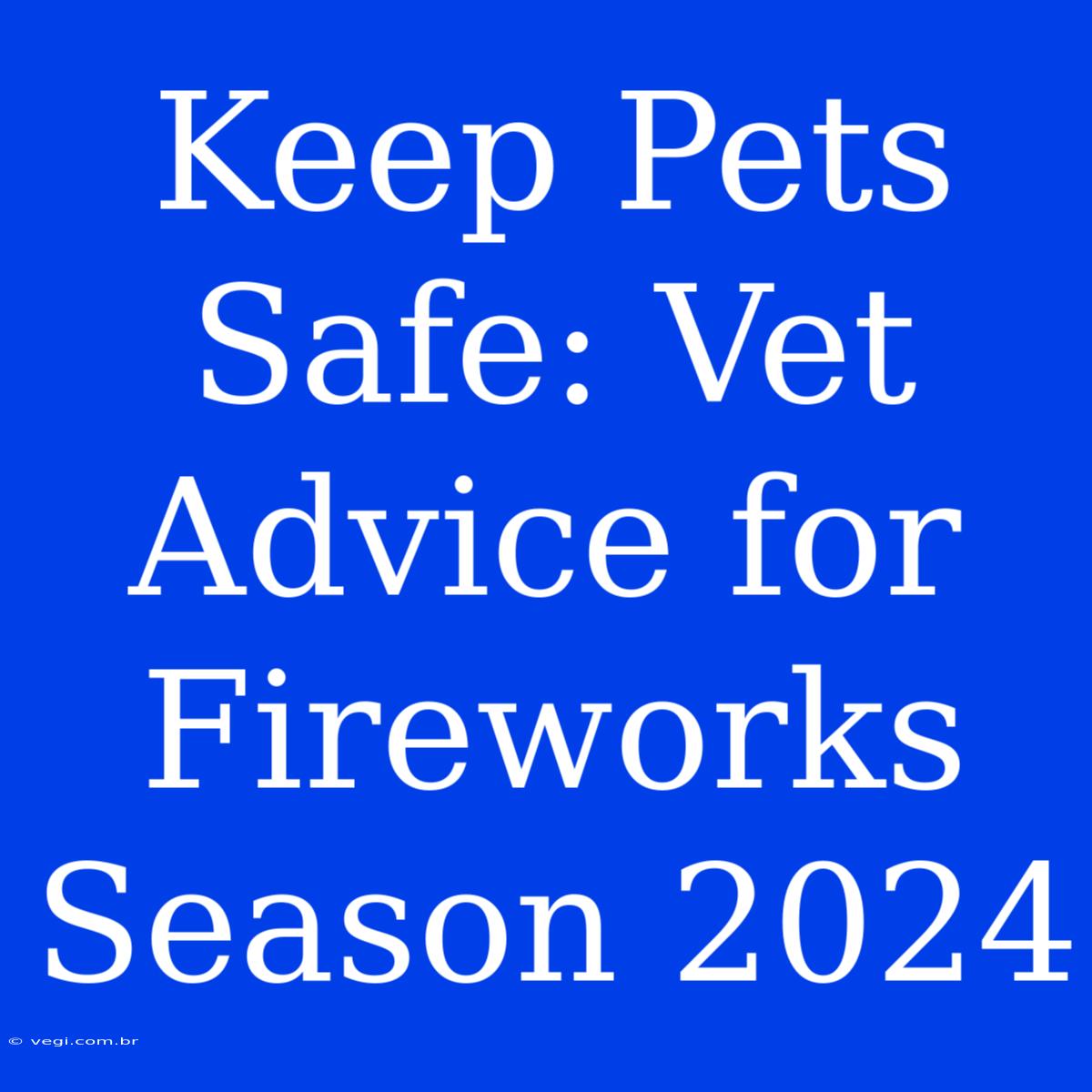 Keep Pets Safe: Vet Advice For Fireworks Season 2024