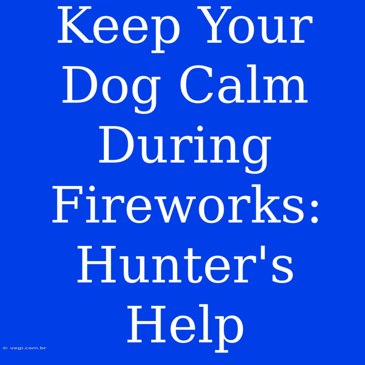 Keep Your Dog Calm During Fireworks: Hunter's Help 