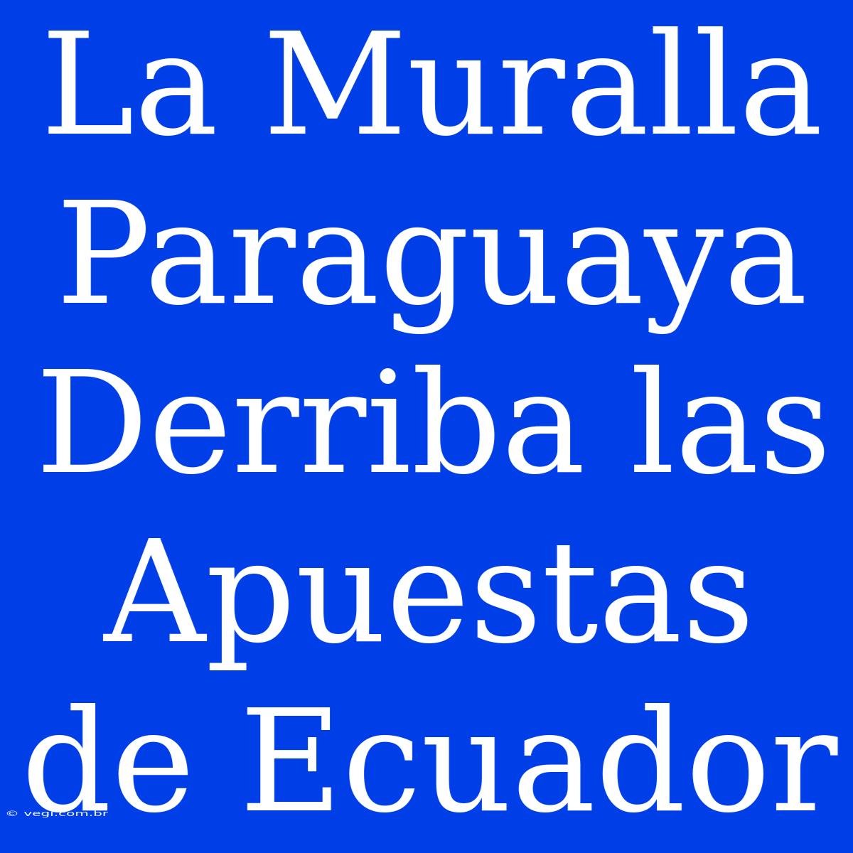 La Muralla Paraguaya Derriba Las Apuestas De Ecuador