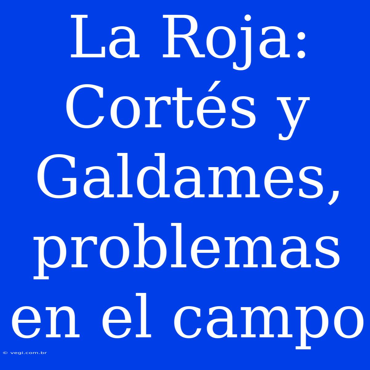 La Roja: Cortés Y Galdames, Problemas En El Campo