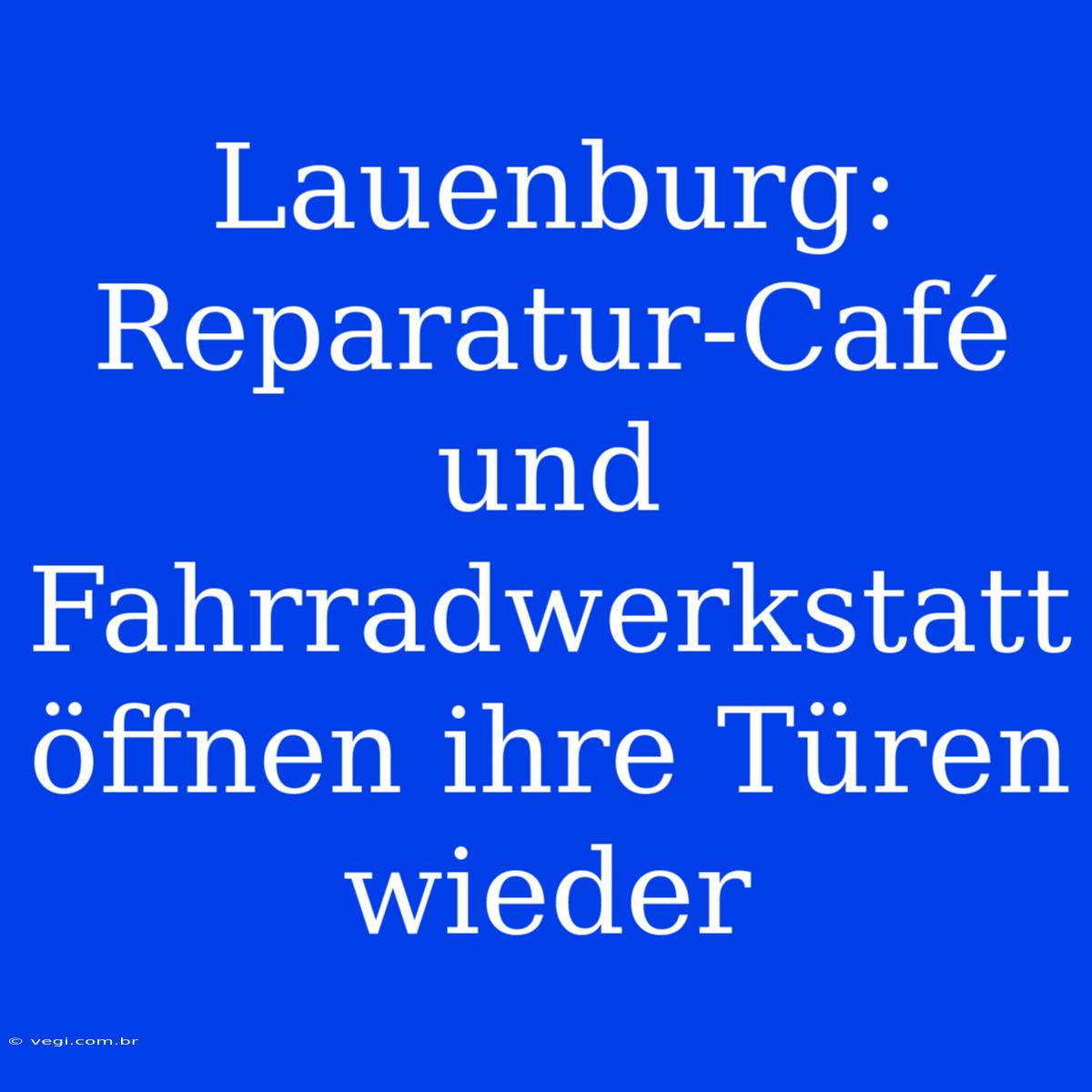 Lauenburg: Reparatur-Café Und Fahrradwerkstatt Öffnen Ihre Türen Wieder