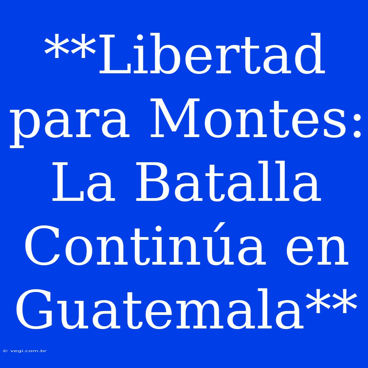 **Libertad Para Montes: La Batalla Continúa En Guatemala** 