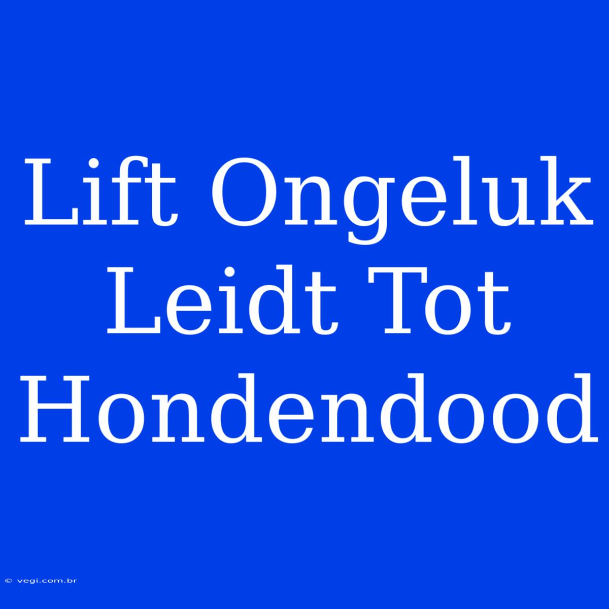 Lift Ongeluk Leidt Tot Hondendood