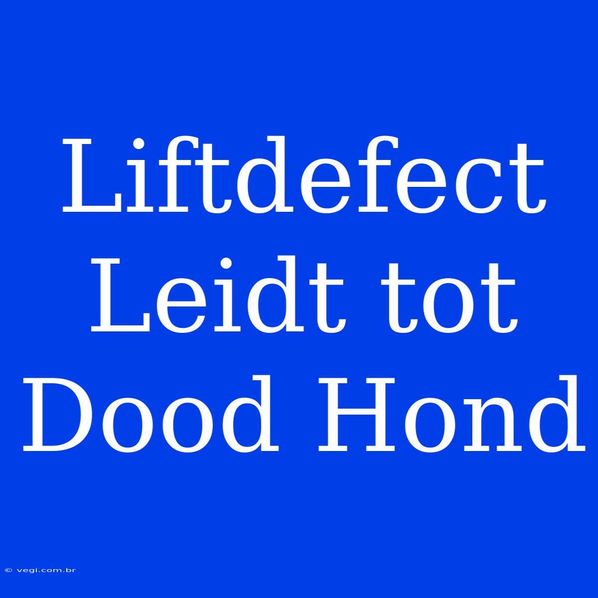 Liftdefect Leidt Tot Dood Hond