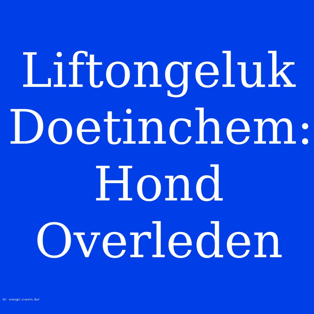 Liftongeluk Doetinchem: Hond Overleden