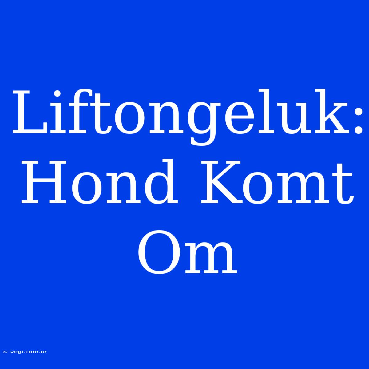 Liftongeluk: Hond Komt Om