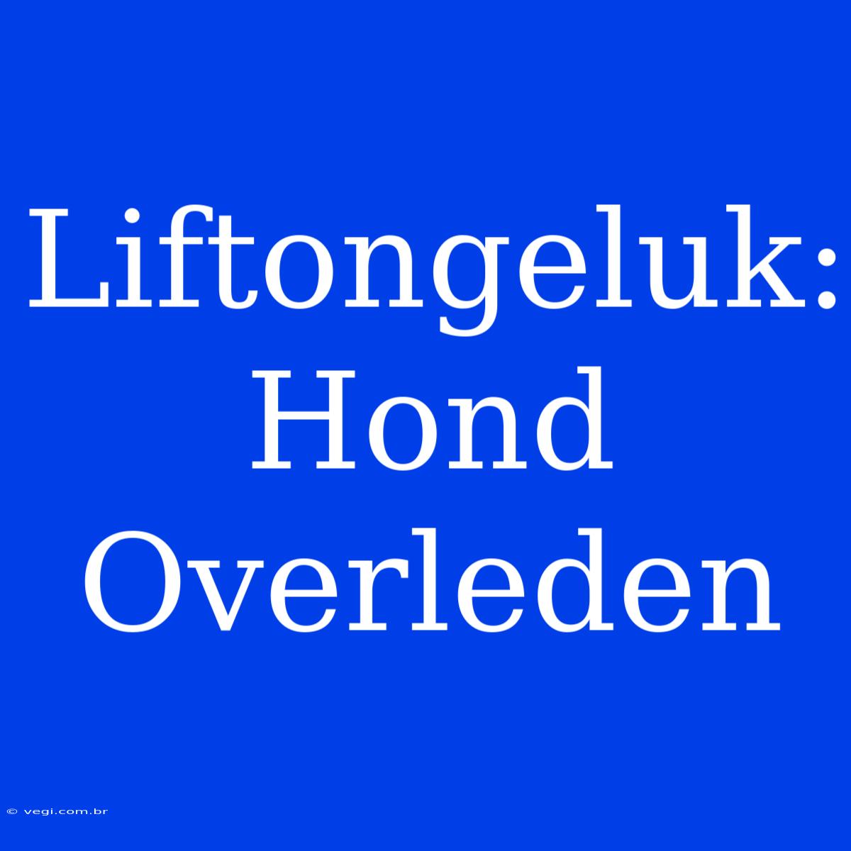 Liftongeluk: Hond Overleden 