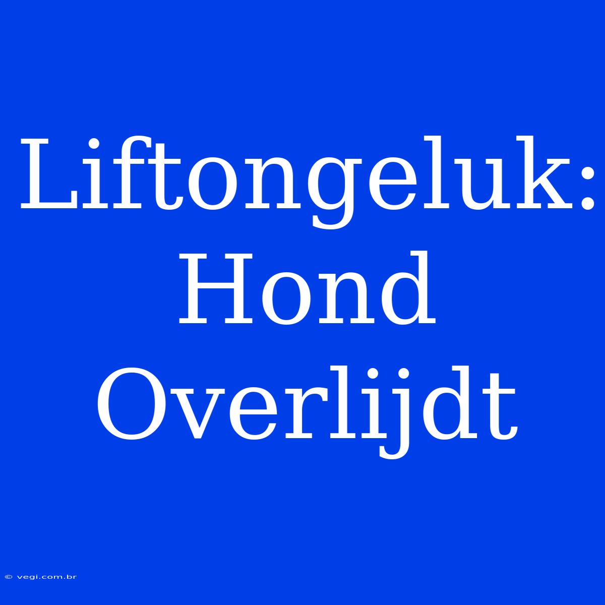 Liftongeluk: Hond Overlijdt