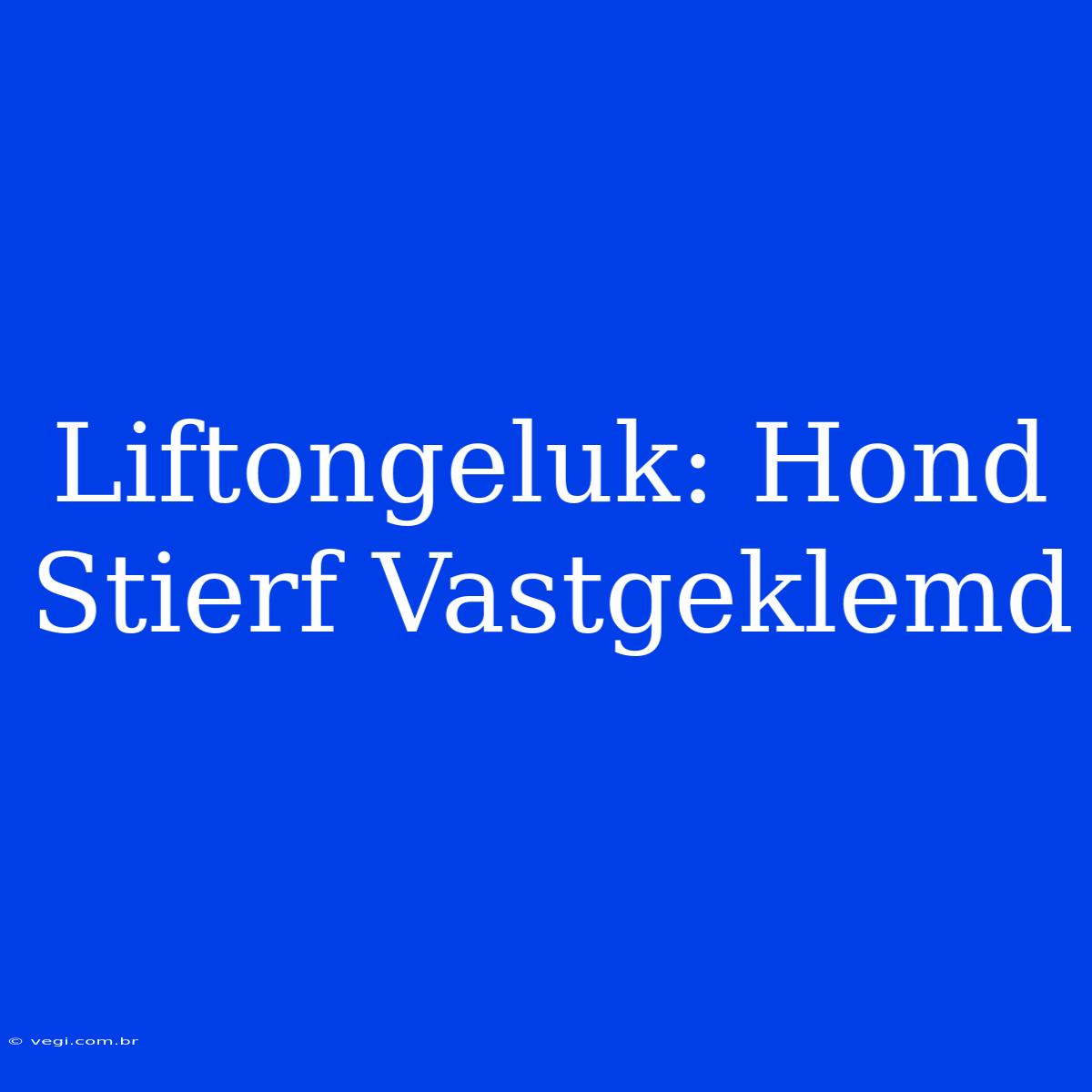 Liftongeluk: Hond Stierf Vastgeklemd