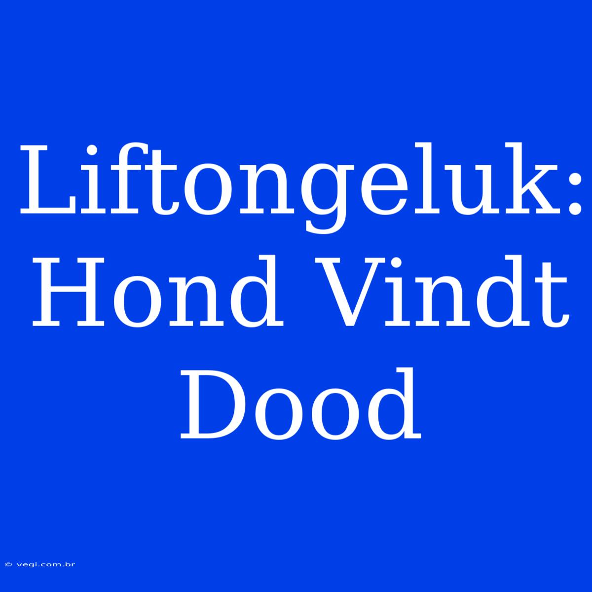 Liftongeluk: Hond Vindt Dood